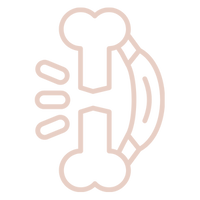 Joint, Bone + Mobility Health